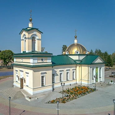 11 ноября